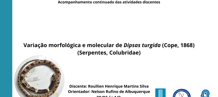 Apresentação do Relatório Parcial – Roullien Henrique Martins Silva